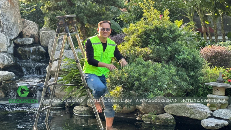 Mẫu thiết kế sân vườn phong cách Nhật Bản được yêu thích nhất